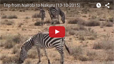 13 oktober 2015 - Trip van Nairobi naar Nakuru.